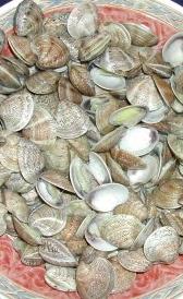 Almejas