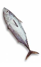El bonito es un alimento rico en vitamina B12 bonito, alimento rico en vitamina B12