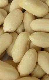 El cacahuete sin cáscara es un alimento rico en yodo y fósforo cacahuete sin cáscara, alimento rico en yodo y fósforo