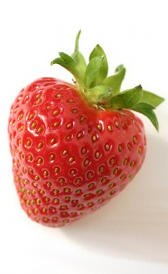 proteínas de la fresa 