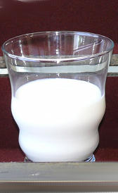 Leche fermentada con lactobacillus acidophilus