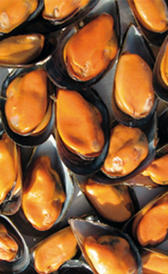 Mejillones