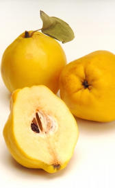 Membrillo