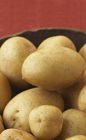 Patatas nuevas