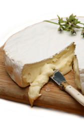 Queso brie