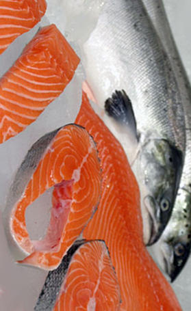 Salmón, alimento preteneciente a la categoría de los pescado azul salmón, alimento preteneciente a la categoría de los pescado azul